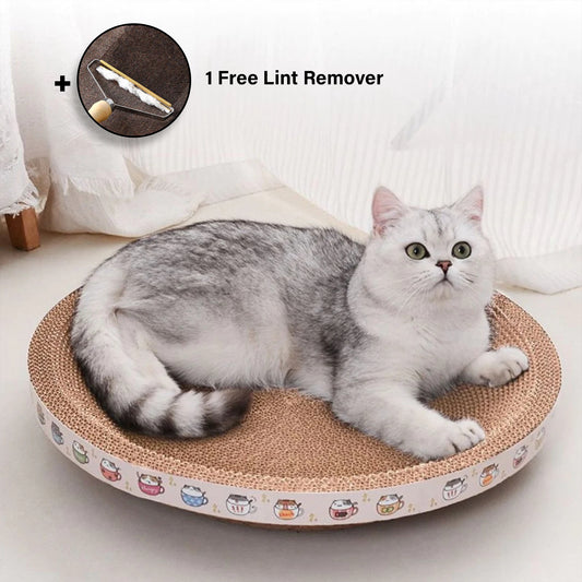 PawFun™ Interactive Scratch Bowl