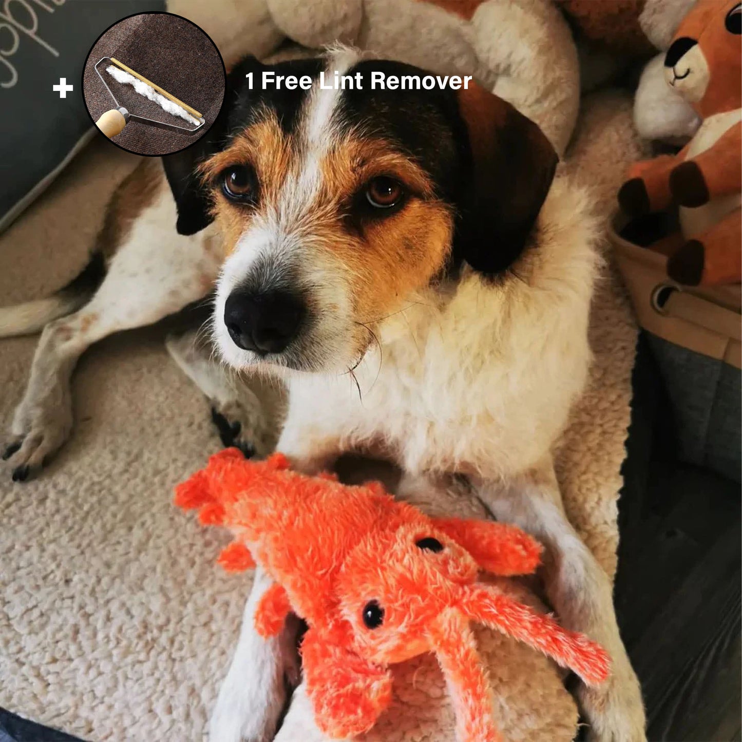 PawFun™ Floppy Lobster - Interactive Pet Toy