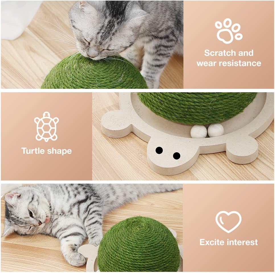 Scratch Turtle™ - Interactive Scratch Toy