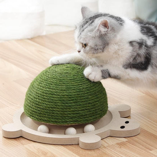 Scratch Turtle™ - Interactive Scratch Toy