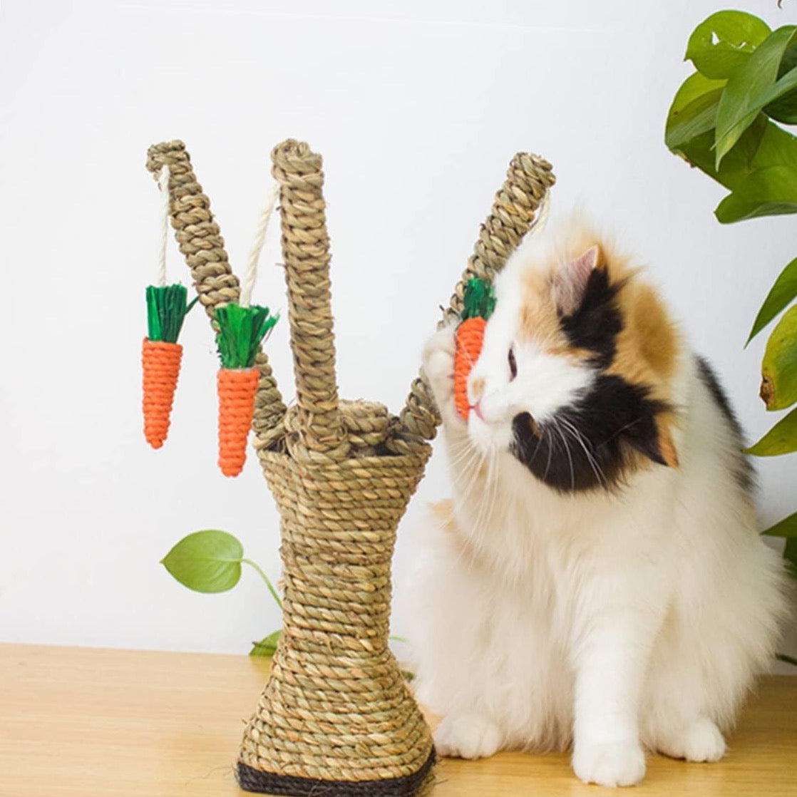 PawFun™ - Interactive Carrot Tree