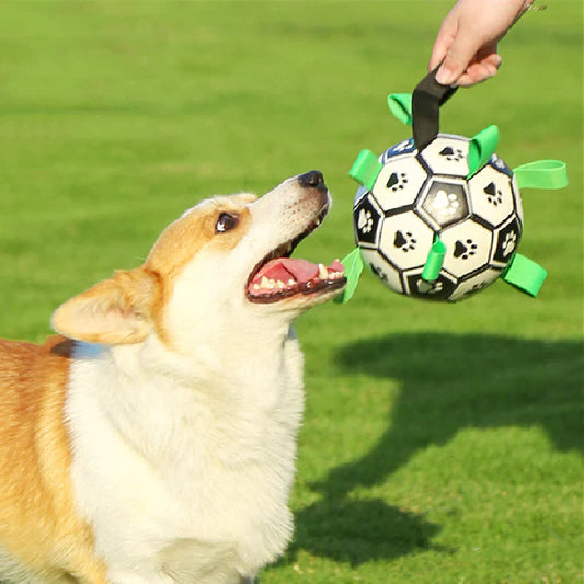 PawFun™ - Soccer Ball for Dogs