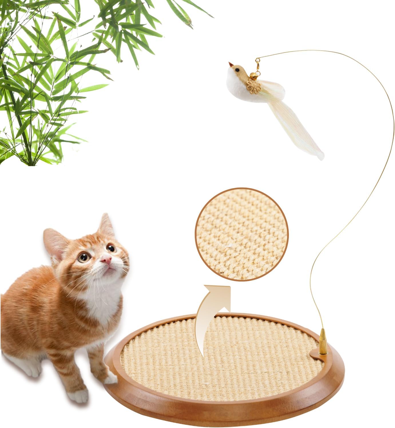 Pawfun™ 2 in 1 Interactive Bird Scratch Toy