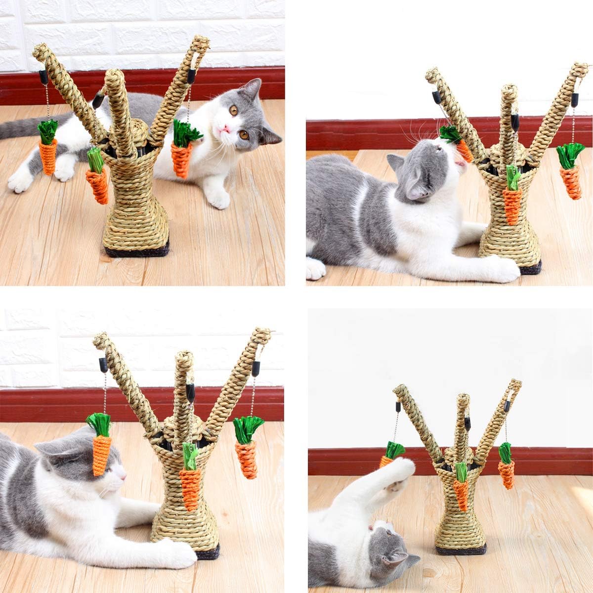 PawFun™ - Interactive Carrot Tree