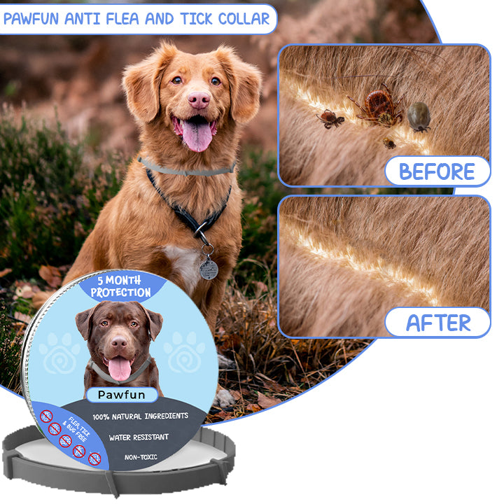 PawFun™ Anti Flea And Tick Collar