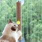 PawFun™ Window Scratch Toy