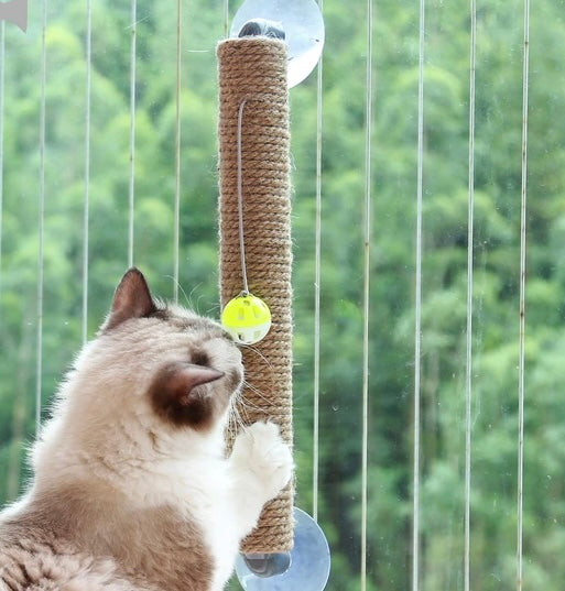 PawFun™ Window Scratch Toy