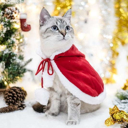 PawFun™ - Cat Santa Cape