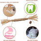 PawFun™ Kitty Dental Chew Stick