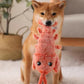 PawFun™ Floppy Lobster - Interactive Pet Toy