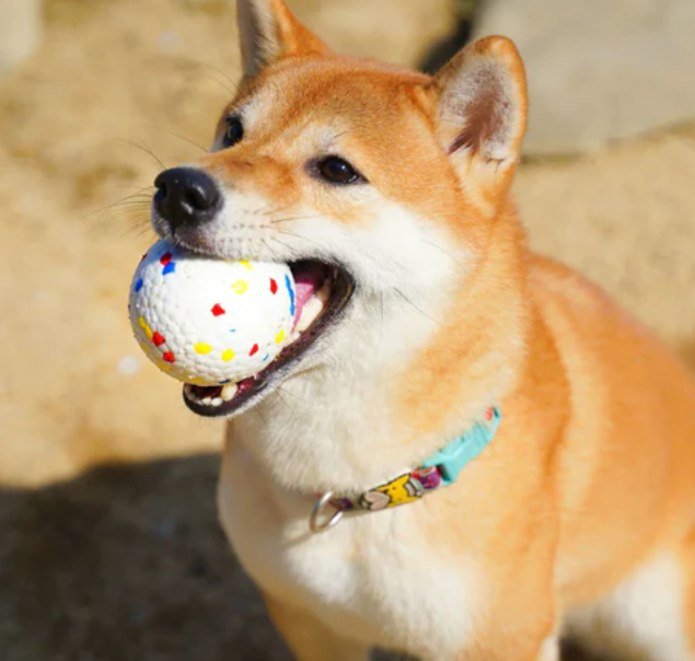 PawFun™ Strongball